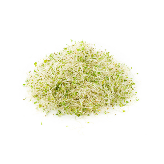 Alfalfa Grass