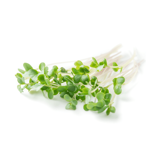 Broccoli Sprouts