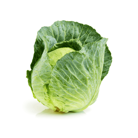 Green Cabbage