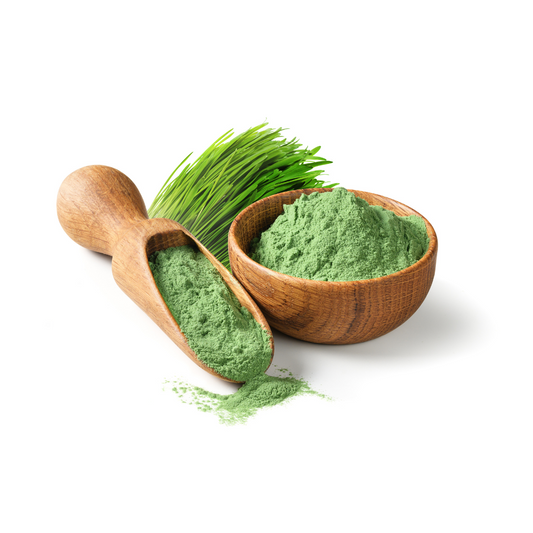 Barley Grass