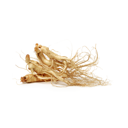 Chinese Ginseng Root