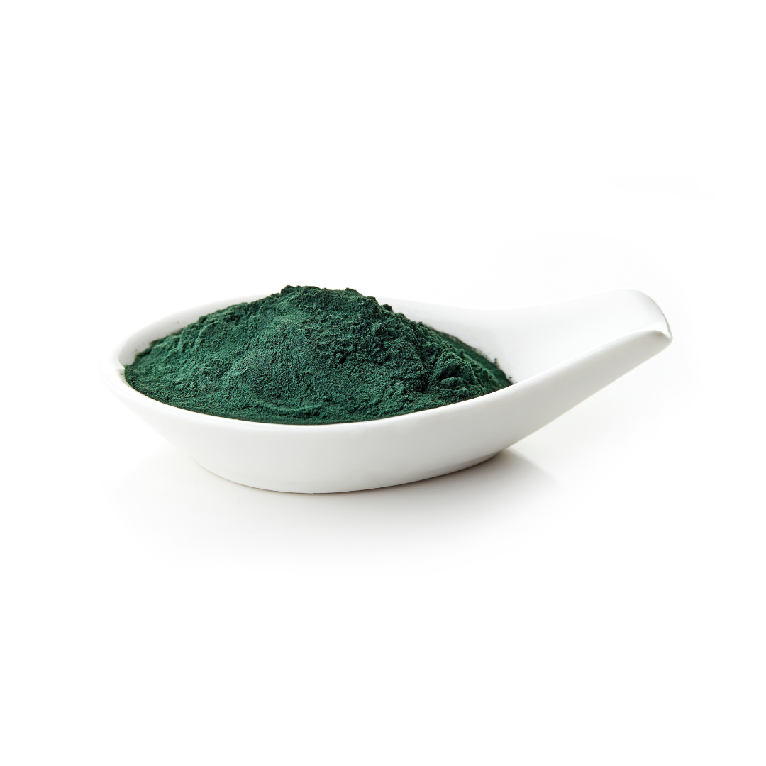 Chlorella