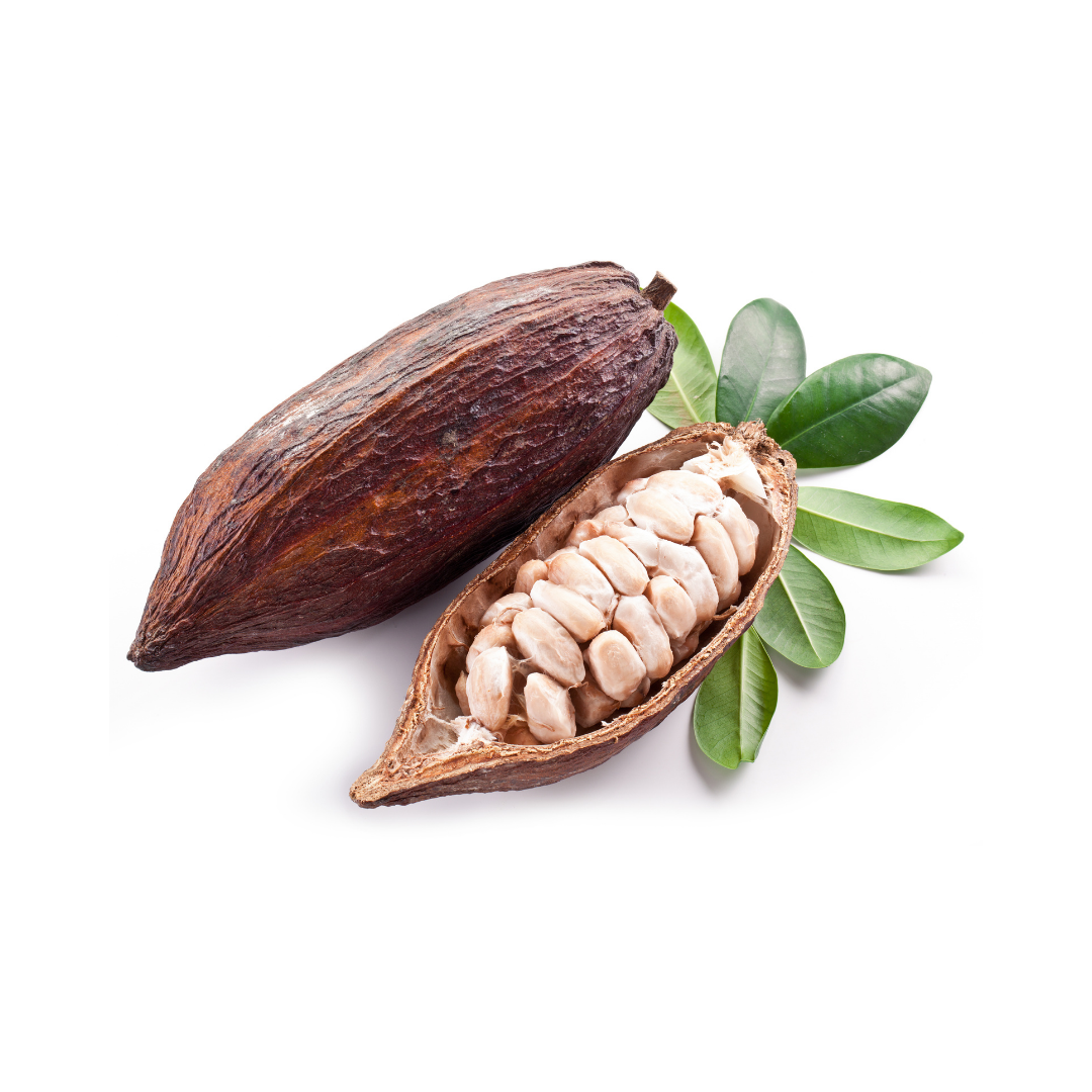 Cocoa