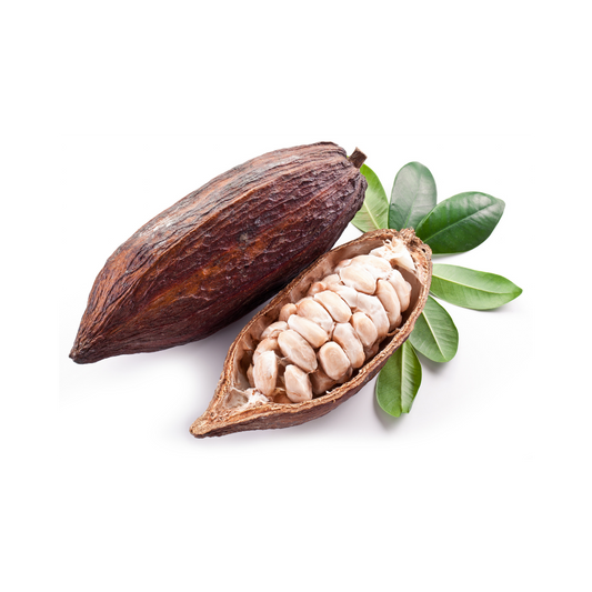 Cocoa