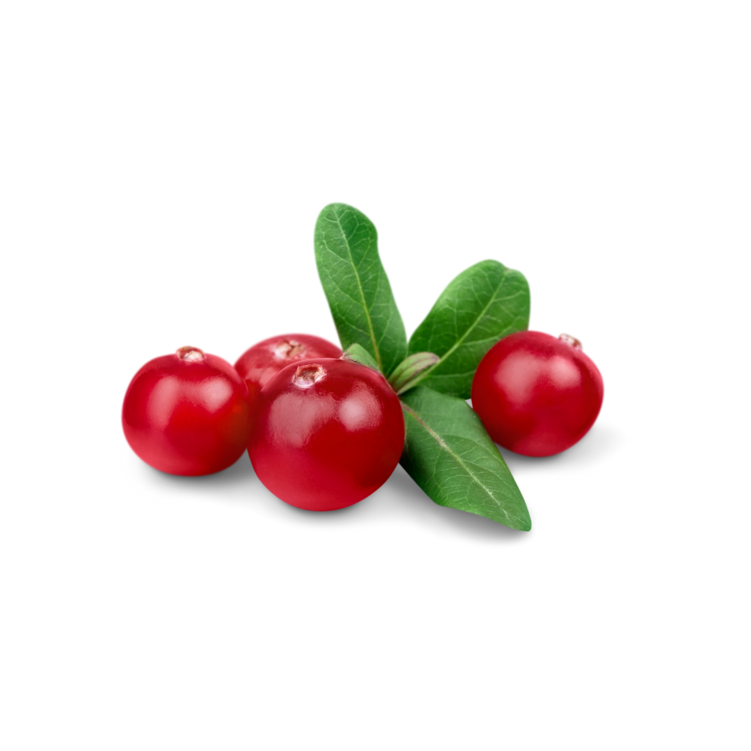 Cranberry