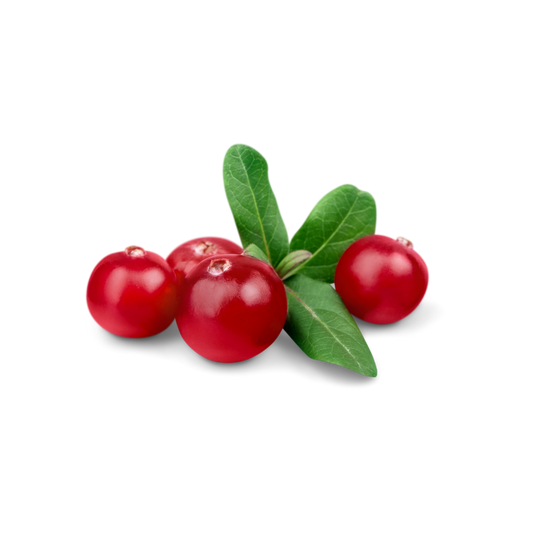 Cranberry