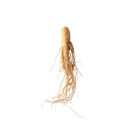 Eleuthero Root