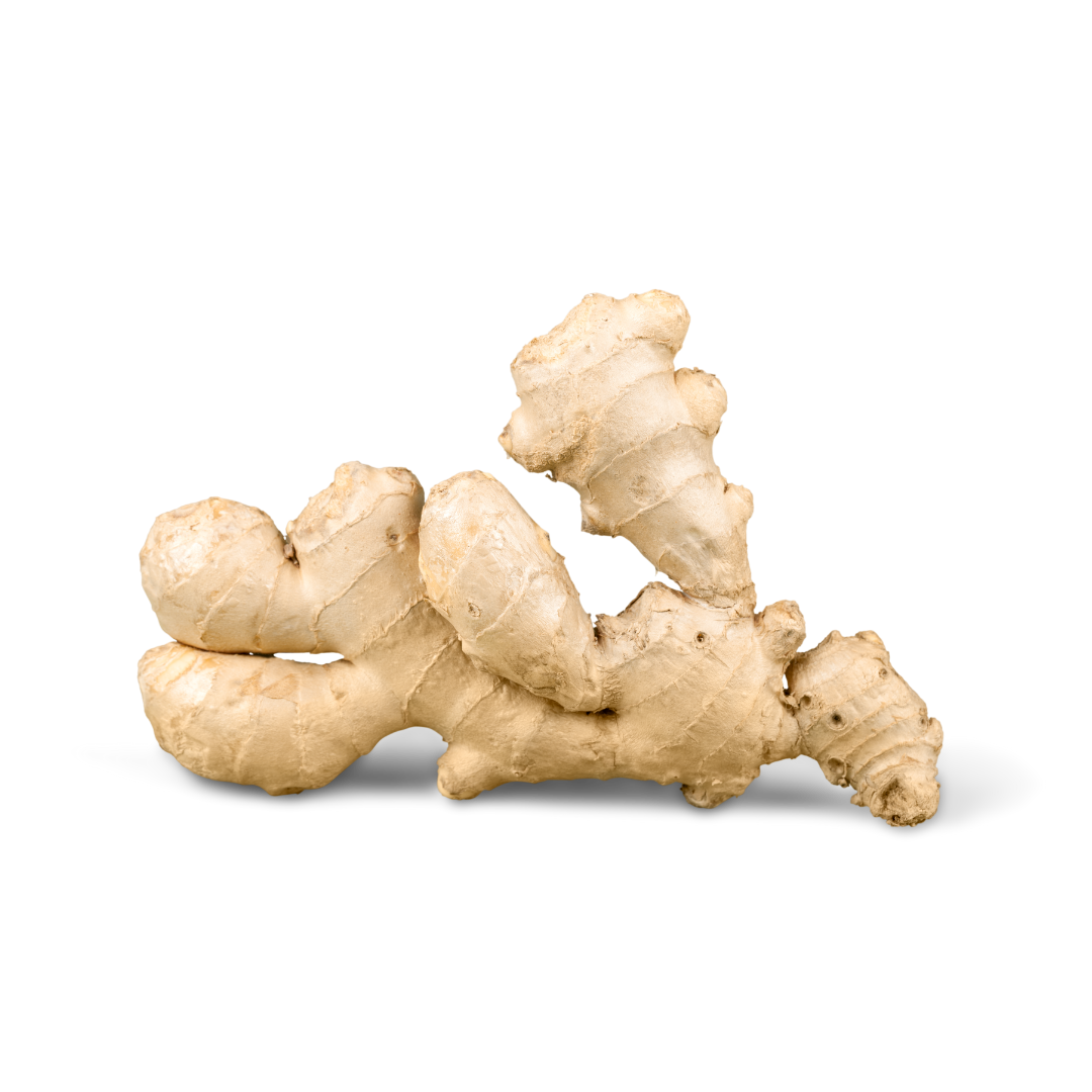 Ginger