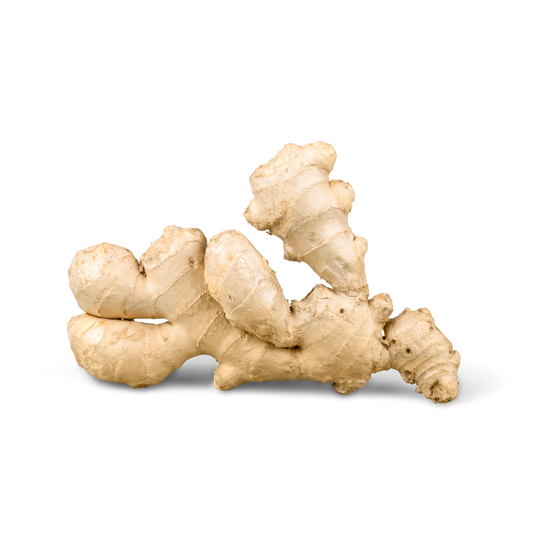 Ginger