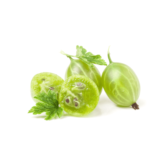 Grape Seed Extract