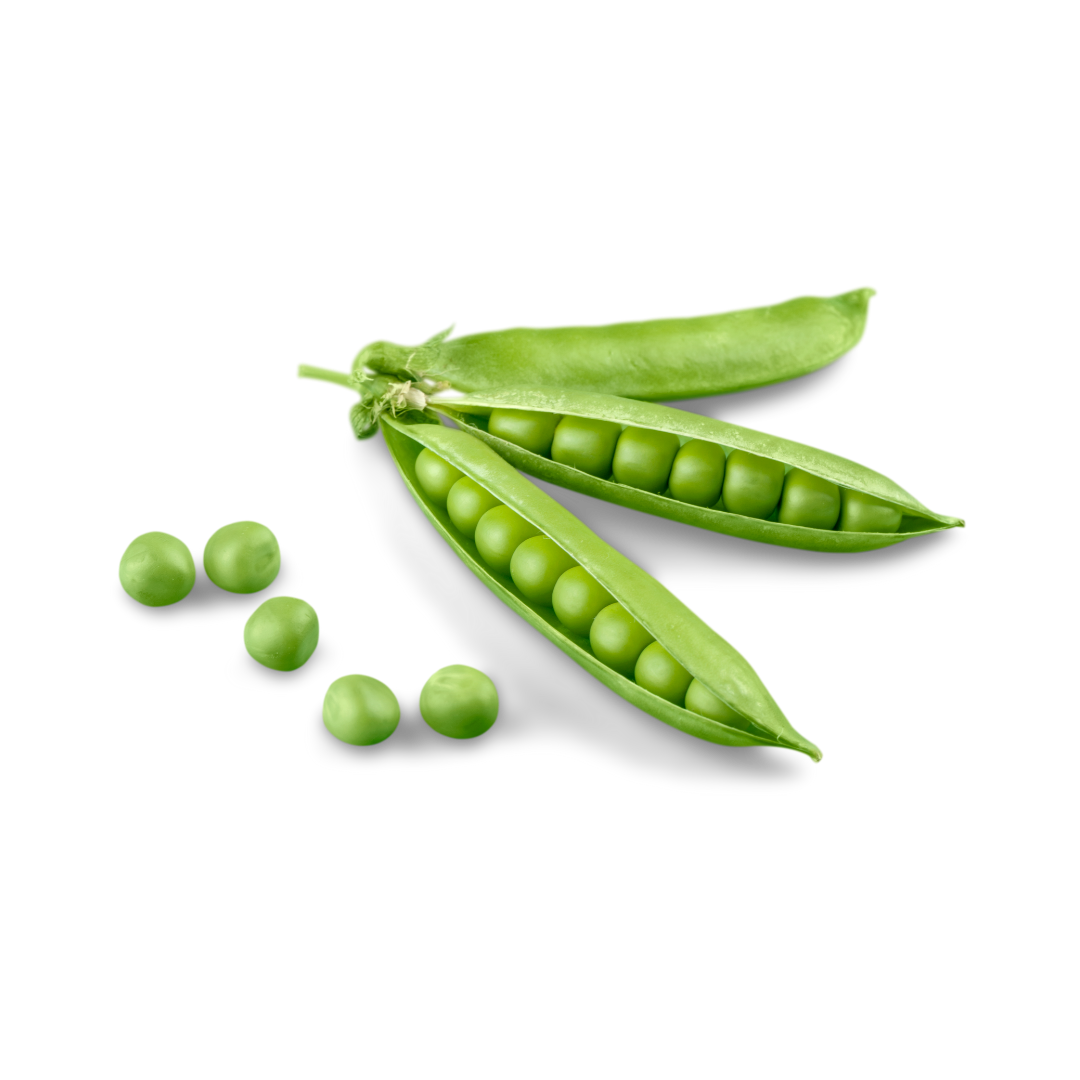 Pea Protein