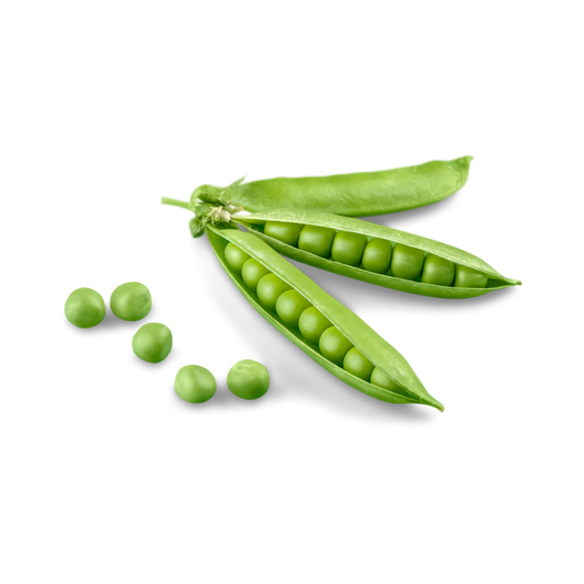 Pea Protein