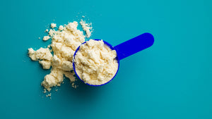 Plant vs. Whey Protein: Which is the Best? 