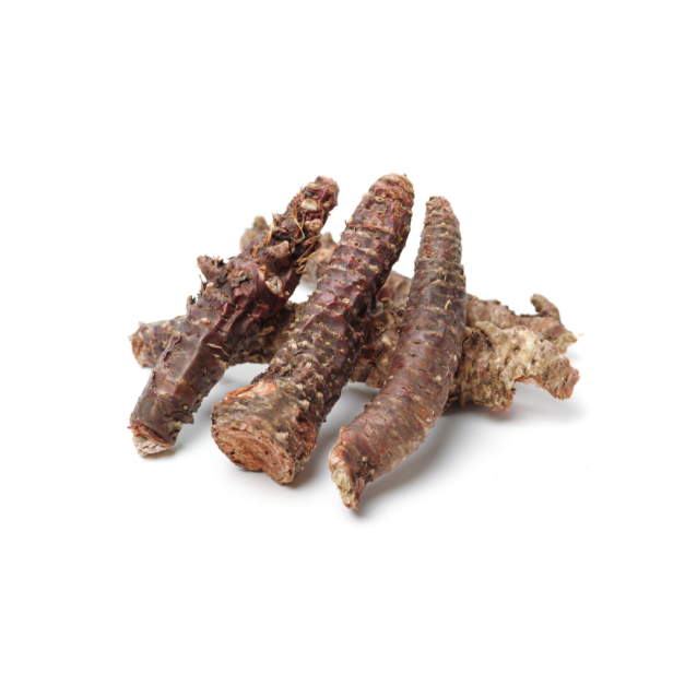Rhodiola Root