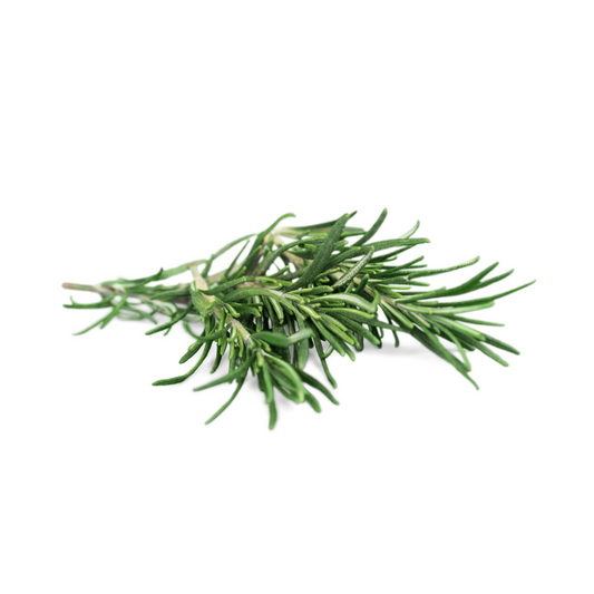 Rosemary