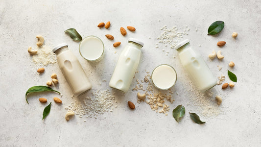 Plant vs. Whey Protein: Which is the Best