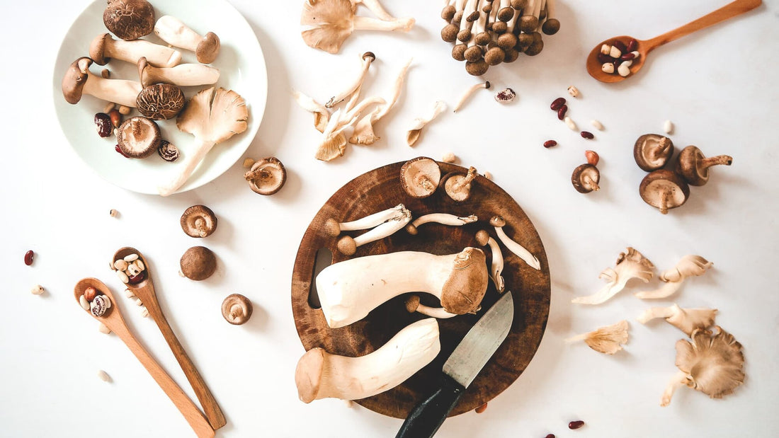 Ashwagandha vs. Rhodiola: Which Adaptogen Works Best for Stress and Energy?