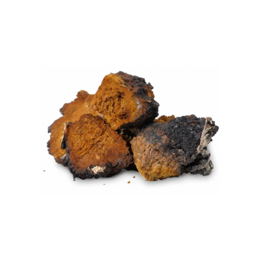 Chaga
