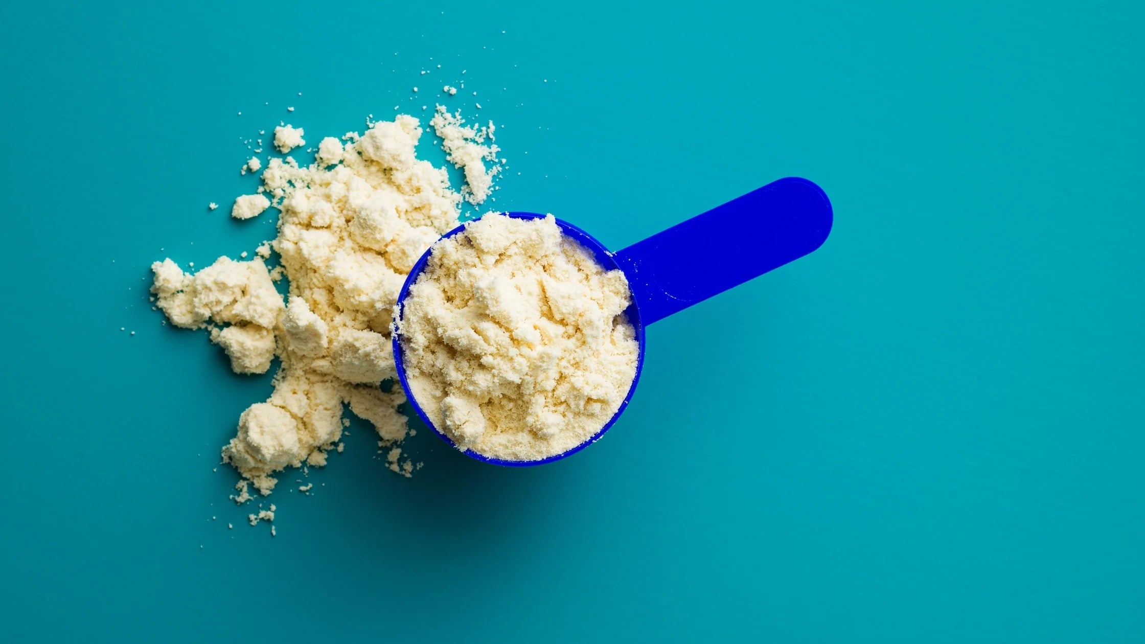 The Truth About Whey Protein & 5 Plant-Based Alternatives