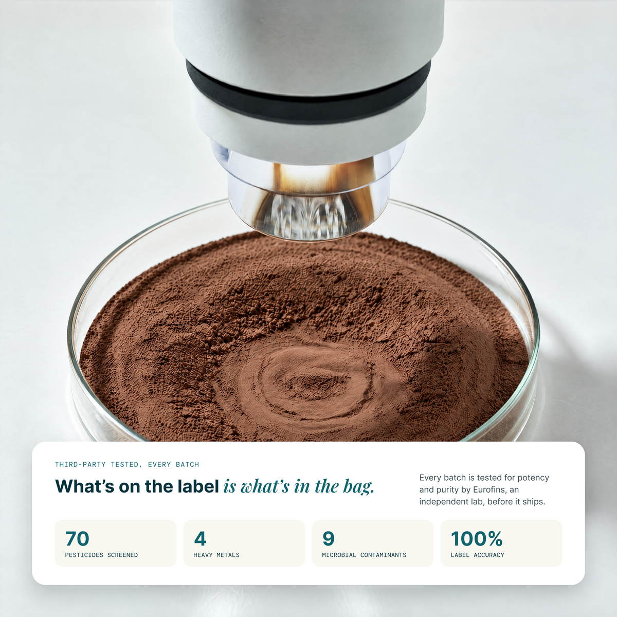 Essentials Nutrition Shake