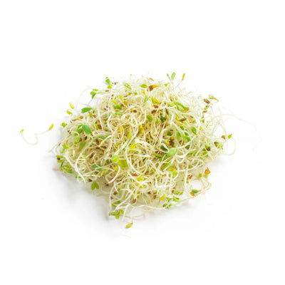 Alfalfa Leaf JuiceLearn More