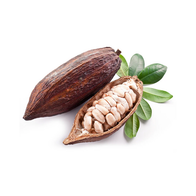 Cocoa