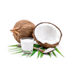 1/4 cup (60ml) coconut milk
