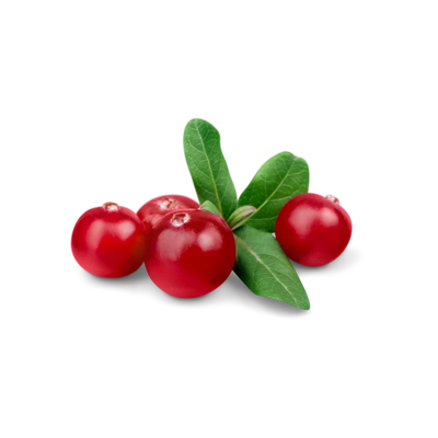 Cranberry