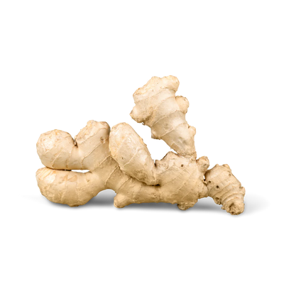 Ginger