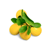 2 tsp. lemon juice